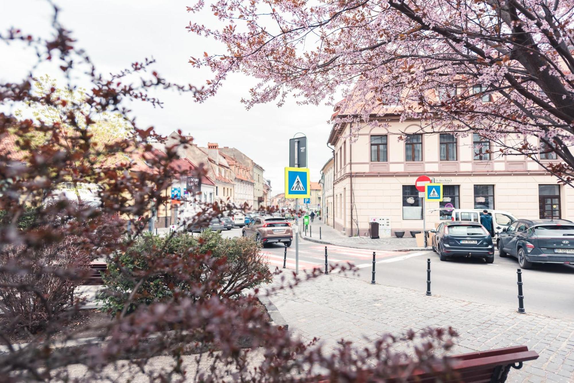 Ataraxya Premium Old Town